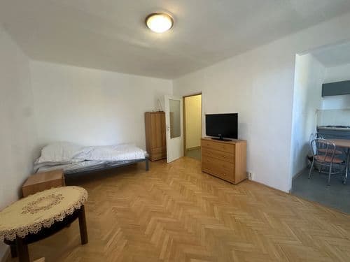Na prenájom 1,5izbový byt na Južnej triede - Voľný ihned